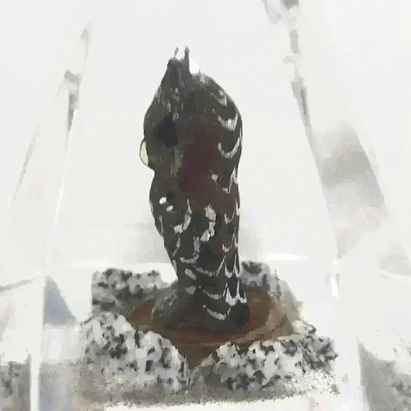 Vintage Hand Carved Owl encased in Pyramid Geometric Lucite. - Picture 4 of 5